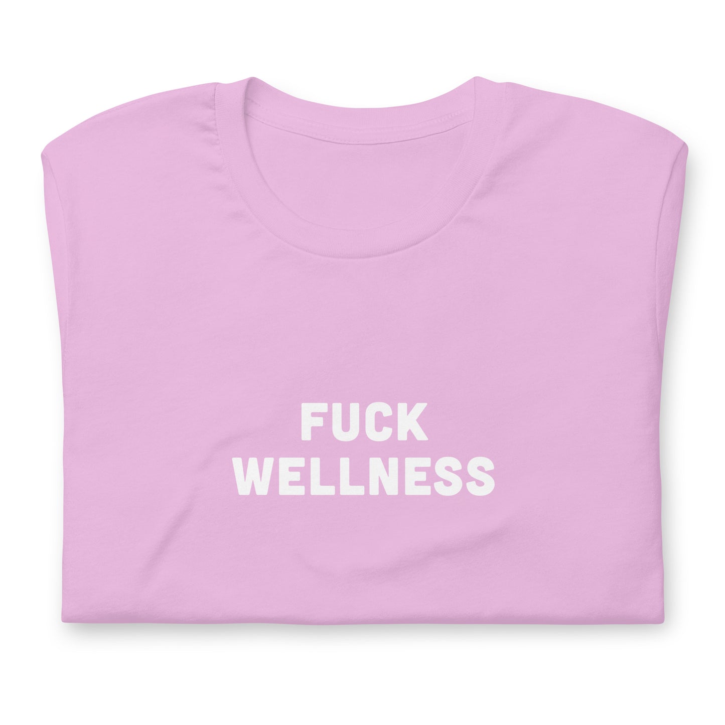 Fuck Wellness T-Shirt Size S Color Asphalt